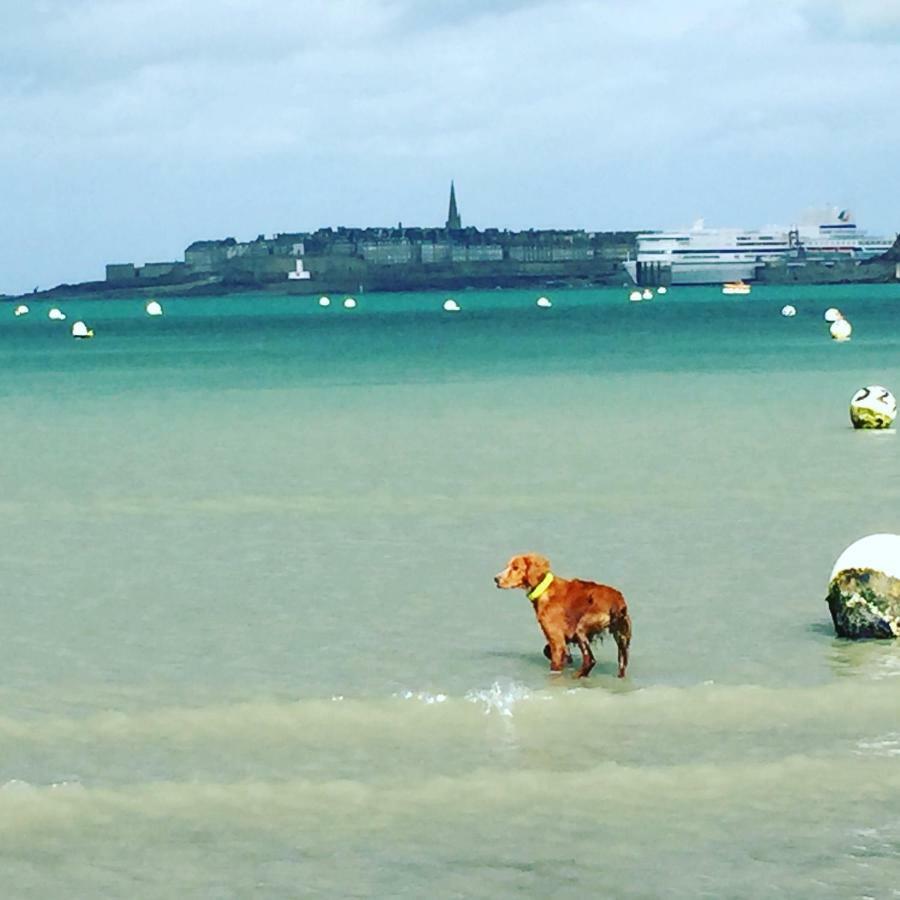 Haute Guais Dinard Extérieur photo
